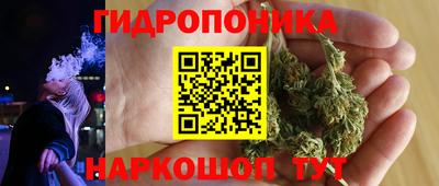 дмт Пенза