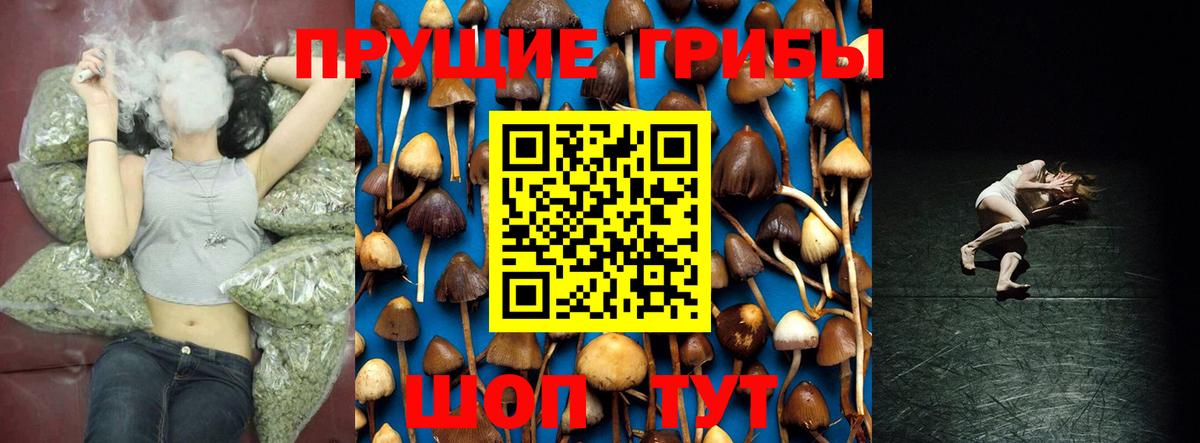 Солнечногорск  Галлюциногенные грибы ЛСД  где продают   Вход с VPN 